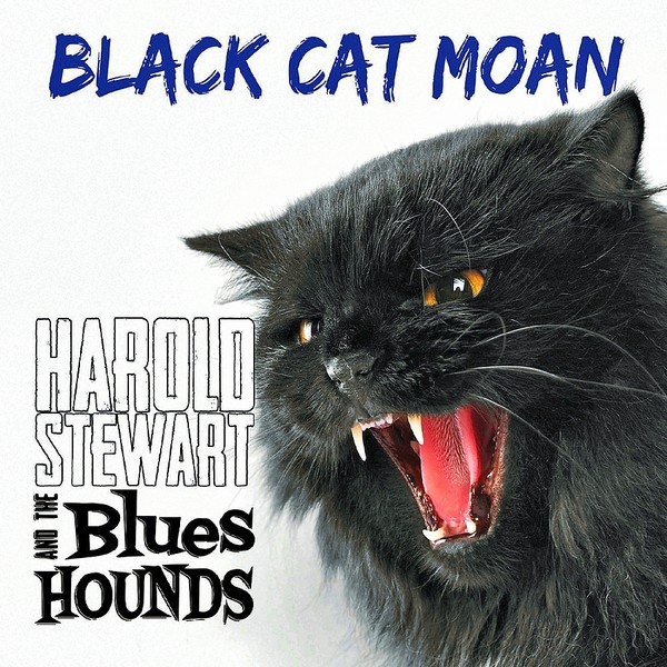 Harold Stewart & The Blues Hounds-Black Cat Moan